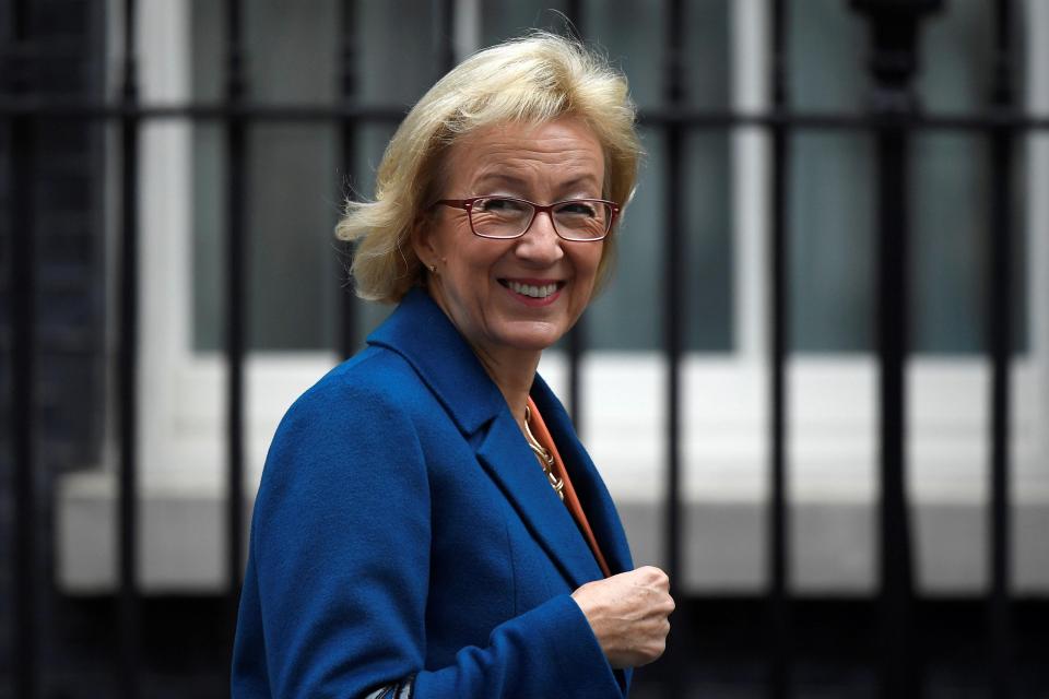  Andrea Leadsom... 'must get out and make the case' for Brexit