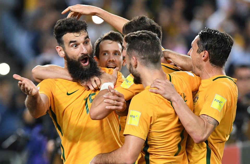  Skipper Miles Jedinak could be a crucial player at the finals