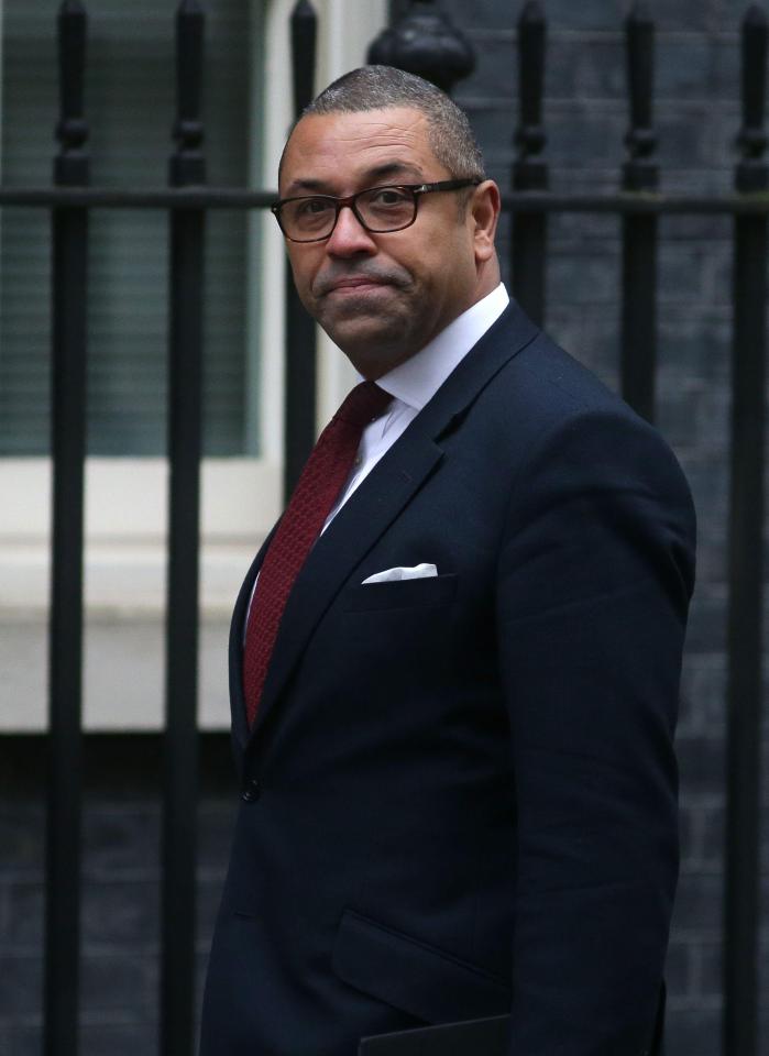  Tory deputy chair James Cleverley told The Sun the comment was 'inappropriate beyond belief'