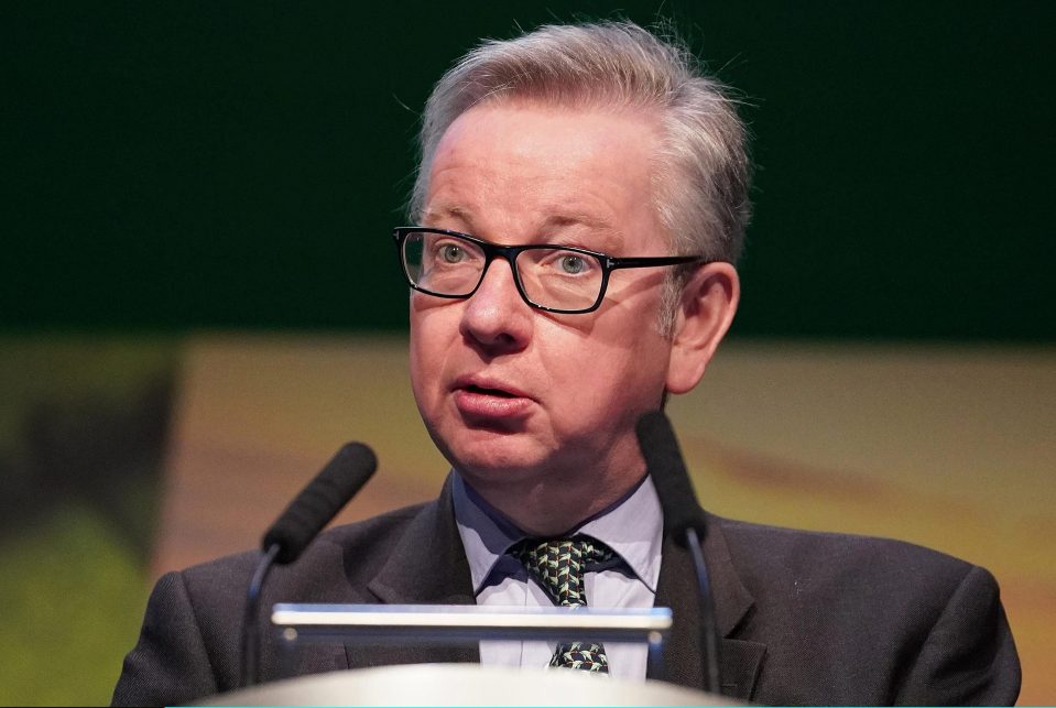  Environment Secretary Michael Gove is one of many Tory MPs who has come out in support of Rudd following scandal