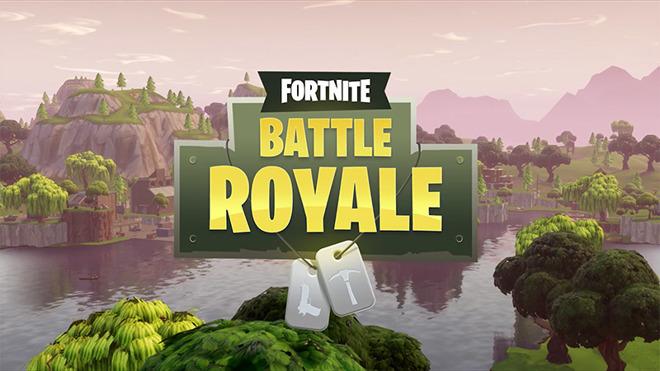  The Fortnite Battle Royale video game has become a global sensation