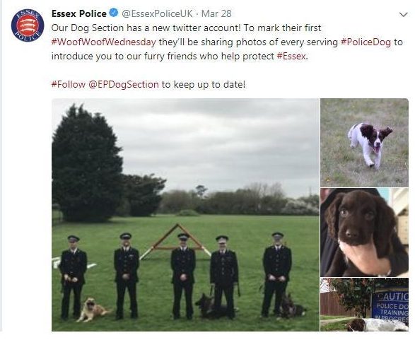  Essex Police has a Twitter account dedicated to their serving police dogs