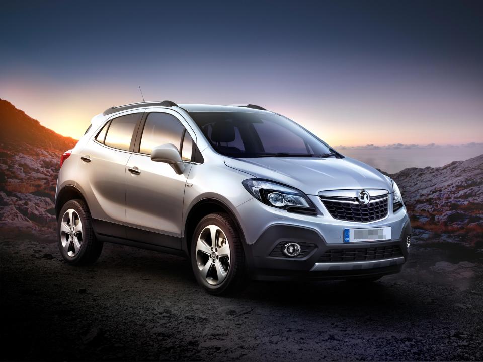  The mum was hit by a grey Vauxhall Mokka (stock image)