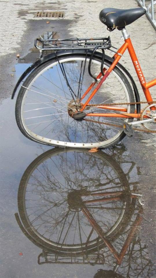  A puddle makes this bike wheel look distorted while its reflection gives a true representation of it