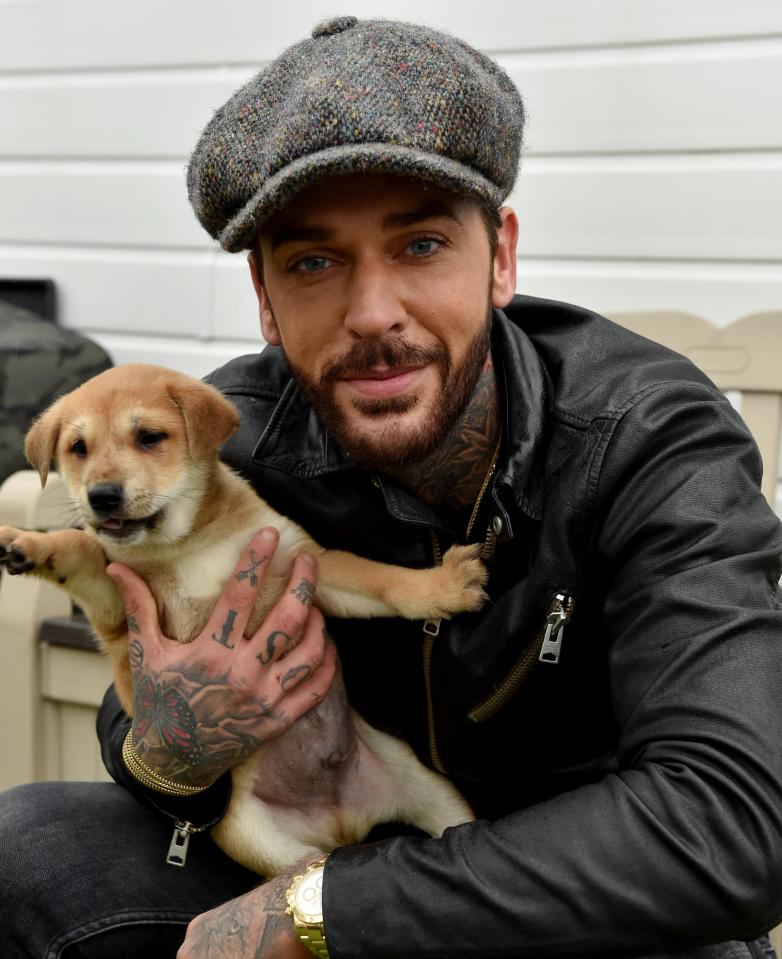  Pete - pictured at Southend Farm in Waltham Abbey - is on a heroic mission to save strays in Romania and South Korea at the risk of getting the odd nip