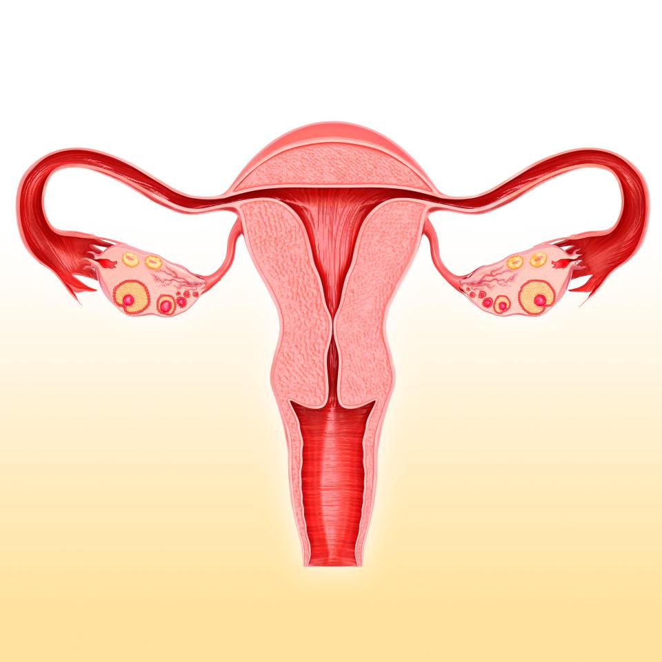 They are caused by the tightening if the muscles in the uterus