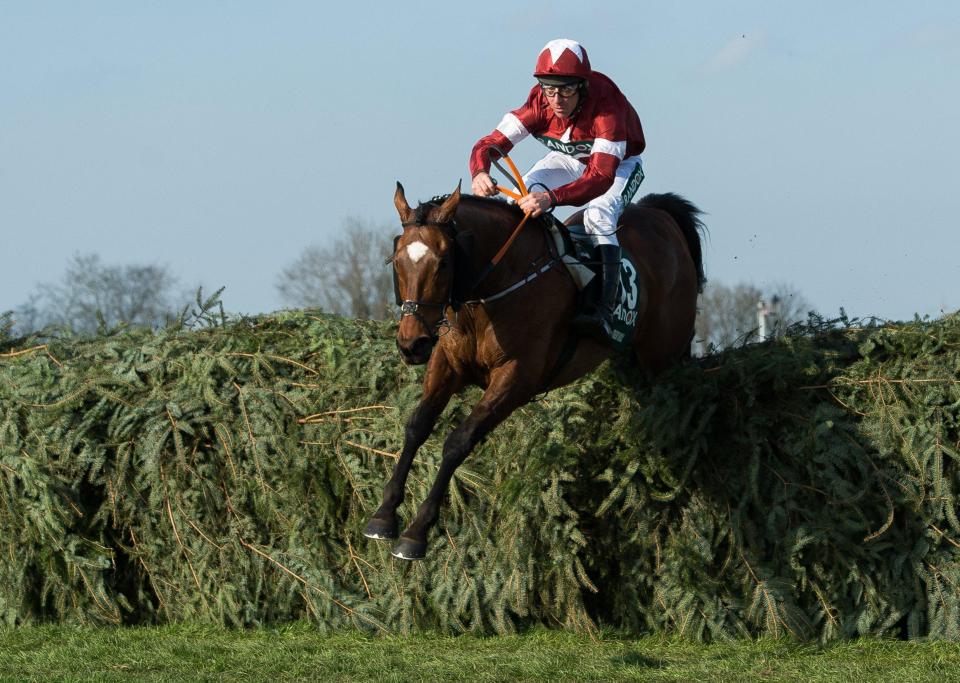  Tiger Roll jumping the last on his way to Grand National glory