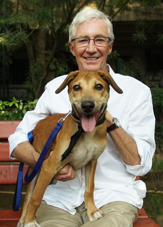  Paul O'Grady contracted a near-fatal virus while playing with street dogs in India