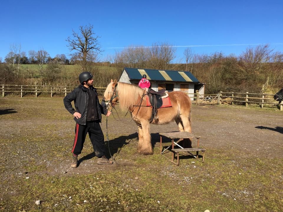  How to communicate with your horse 