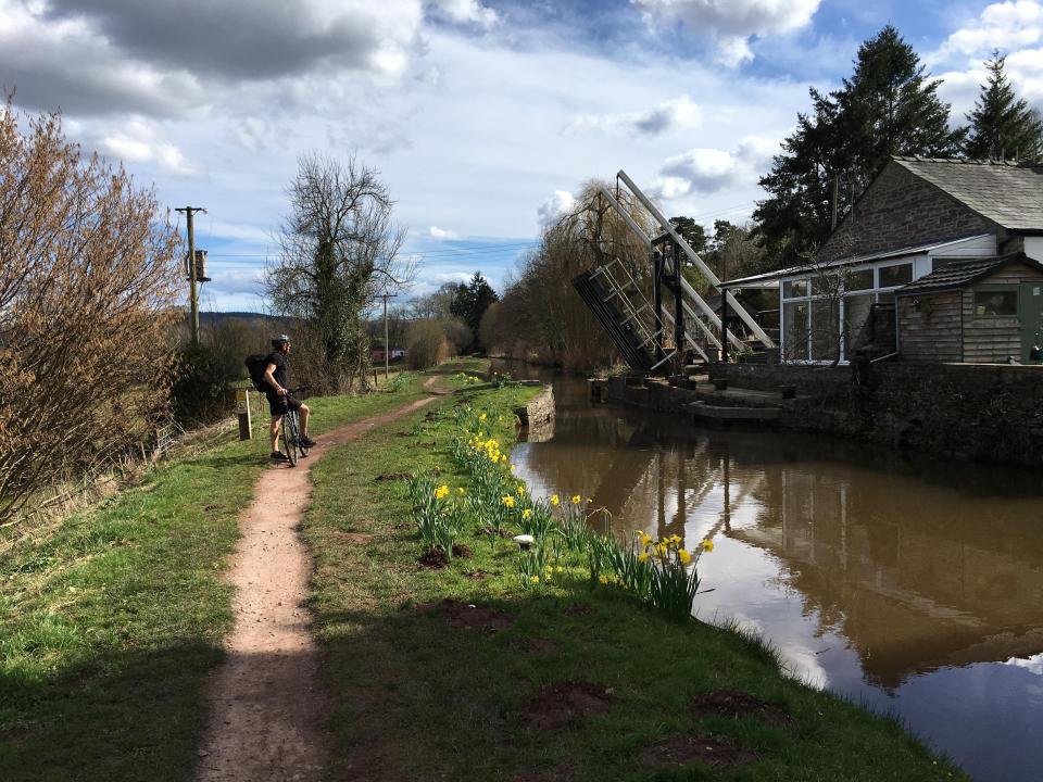  This is beautiful cycling past drawbridges and through pretty daffodil-lined towns