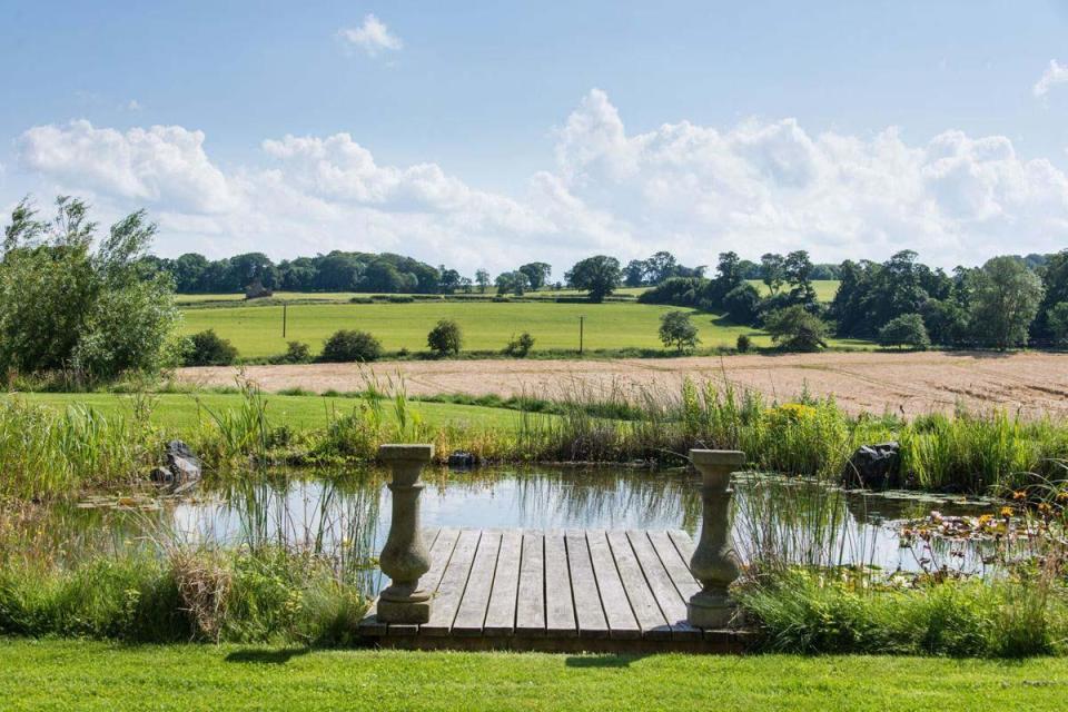  Along with the pond there is also a wild flower meadow, orchard and vegetable garden