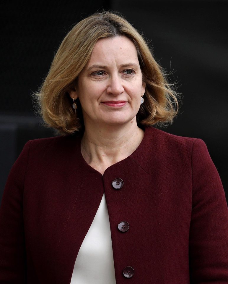  Gaffe-prone Home Secretary Amber Rudd will be opposed by Brexit ministers at a Cabinet meeting