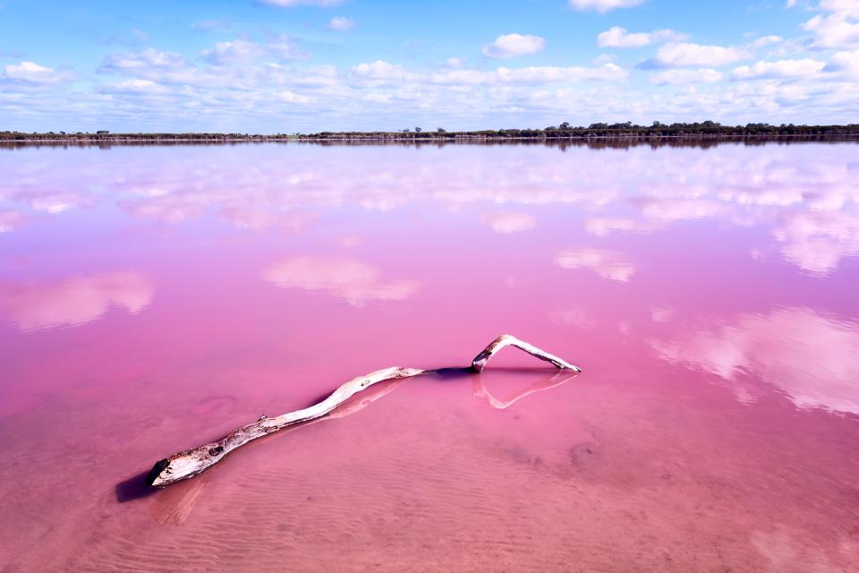 Pink Salt Lake in Western Australia. This lake turns pink in summer cause of an algae with red pigments