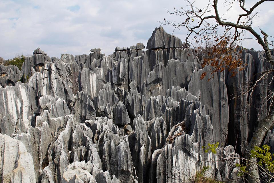 Limestone pinnacles in Shilin, Stone Forest, in Yunnan, China