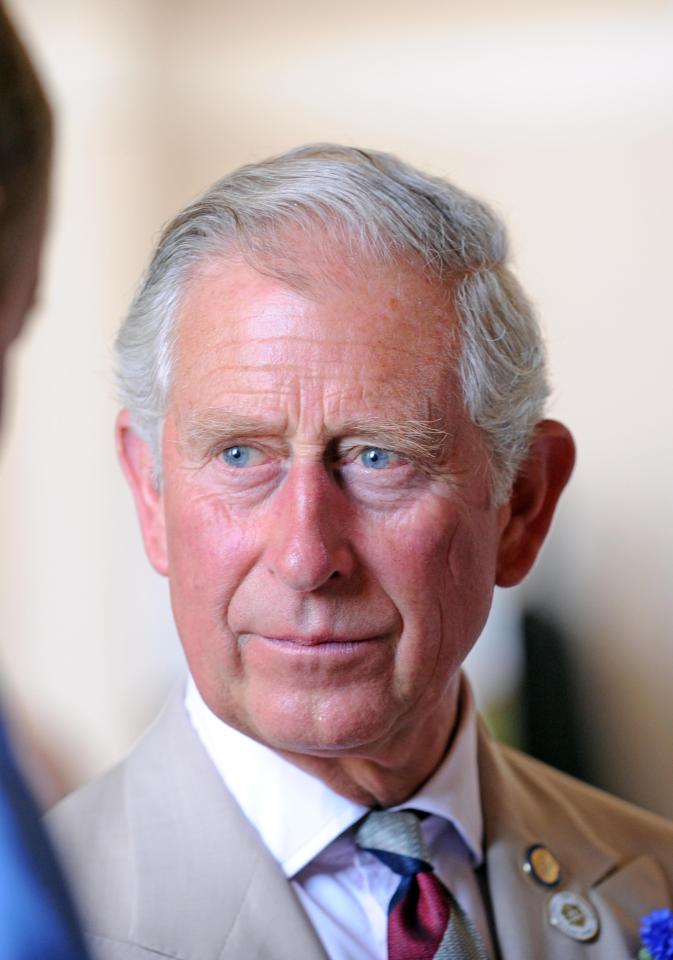  Prince Charles was on hand to provide much-needed support