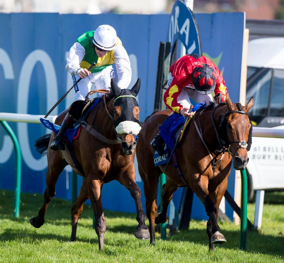  Vicente (left) will bid for a third win in the Scottish Grand National