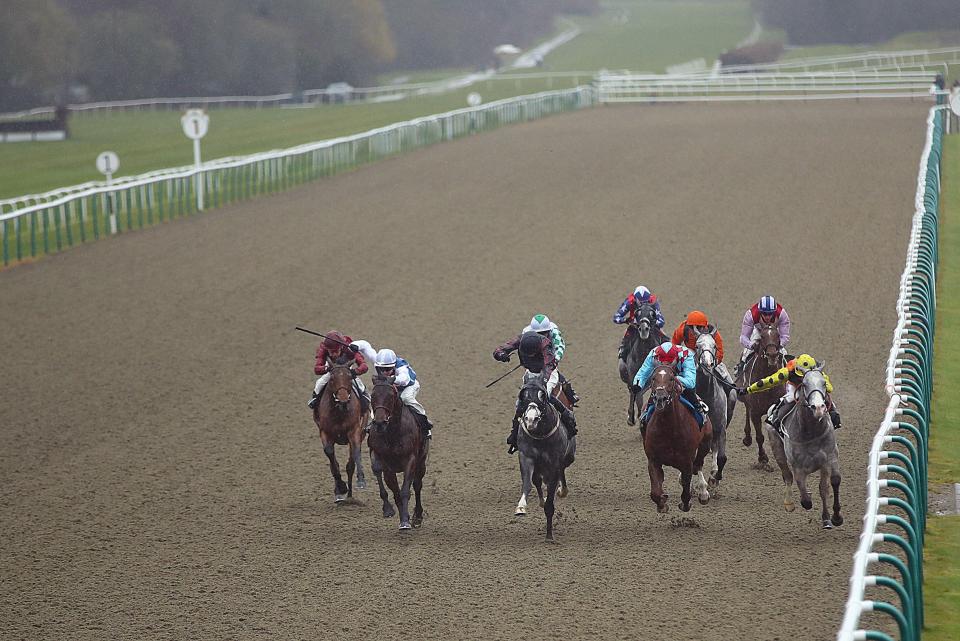 Lingfield racecourse