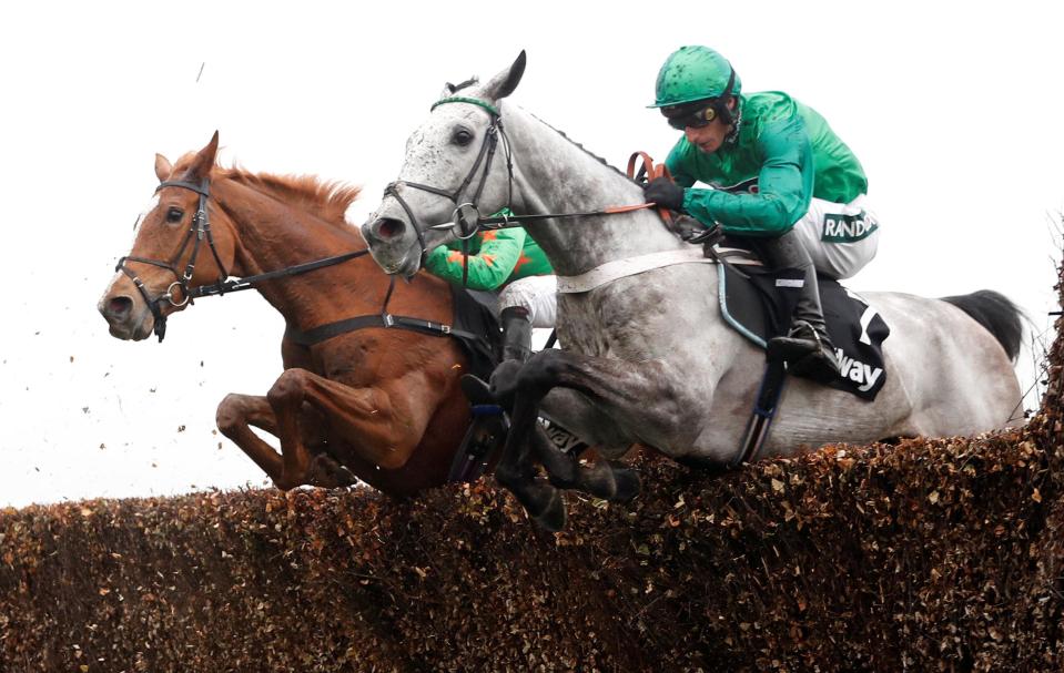  Terrefort (grey) stayed on past Ms Parfois to win the Mildmay Novices' Chase at Aintree