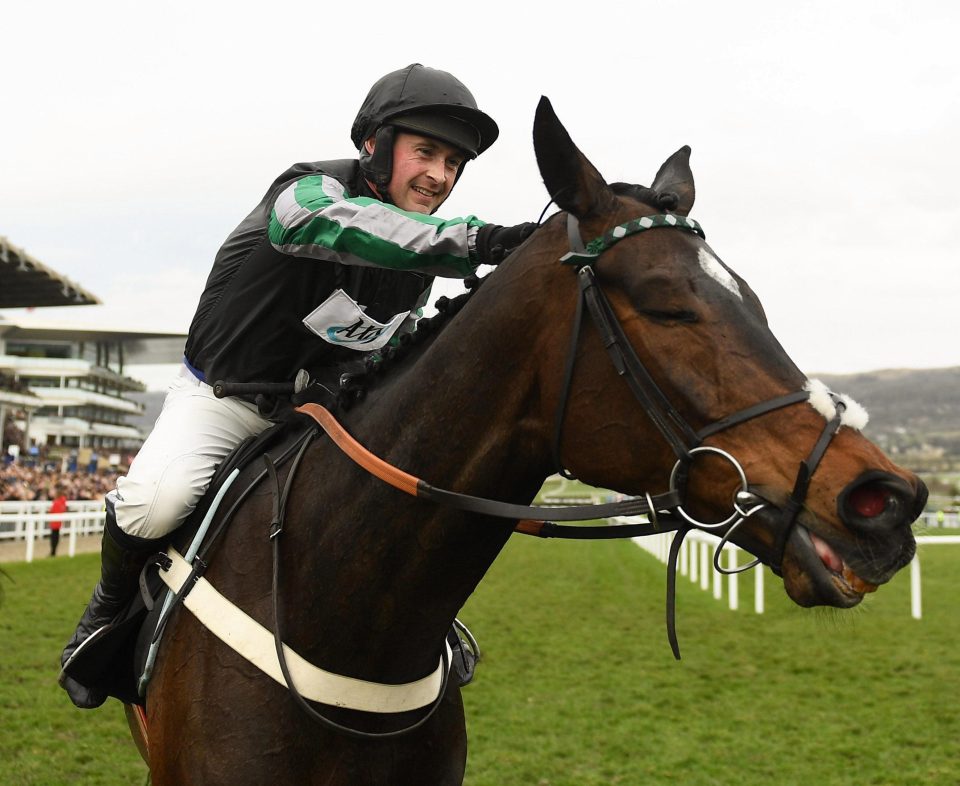  Champion Chase hero Altior came behind Tiger Roll in Matt Chapman 'Horse Of The Season' poll