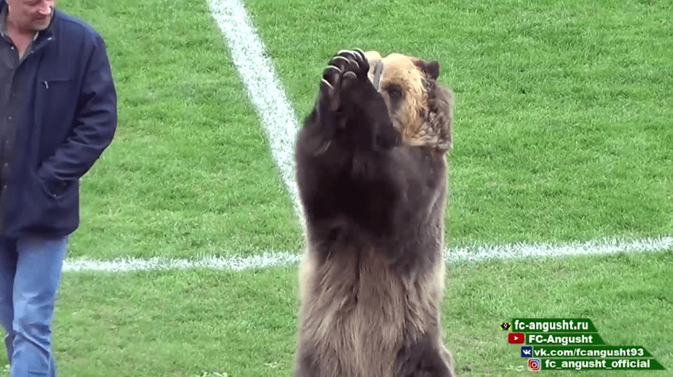 The distressed bear was egged on by a trainer to clap to the crowd