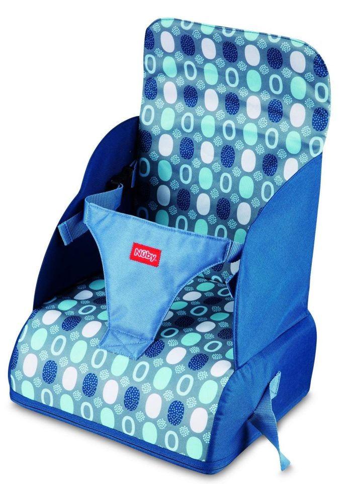  Aldi’s Travel Booster car seat costs £11.99.