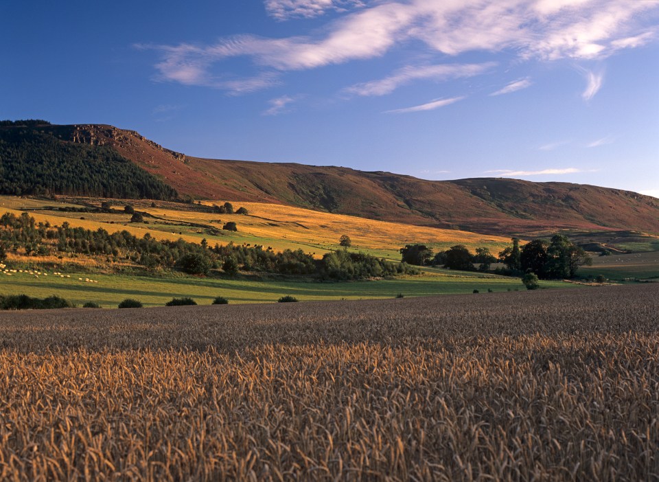  View towards the craggy moorland hillside on the Simonside Hills near Rothbury in Northumberland