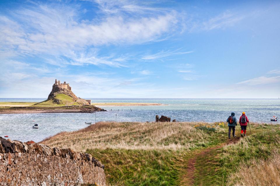  Hikers walking on the Lindisfarne Heugh in Holy Island, Northumberland