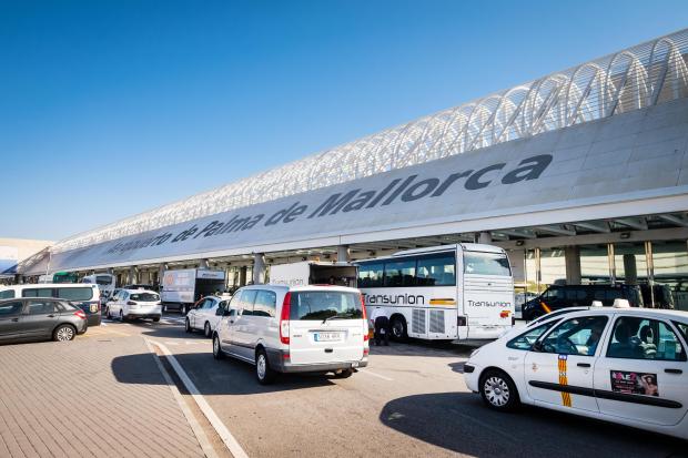 workers at Mallorca's main airport claim it is being plagued by fleas