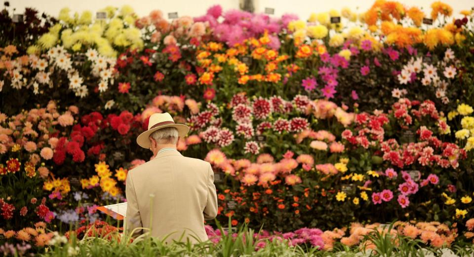  Tickets are currently on sale for the Hampton Court Flower Show 2019 and there are a range of options available