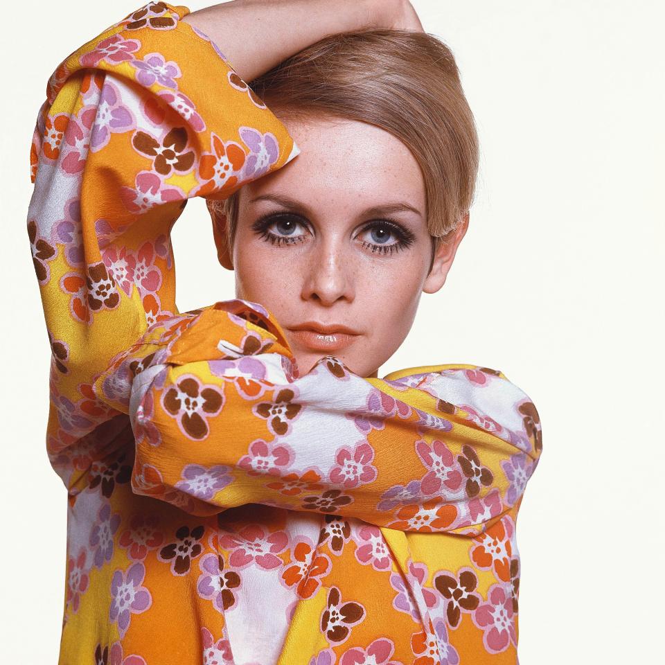  She rose to fame as a model in the sixties