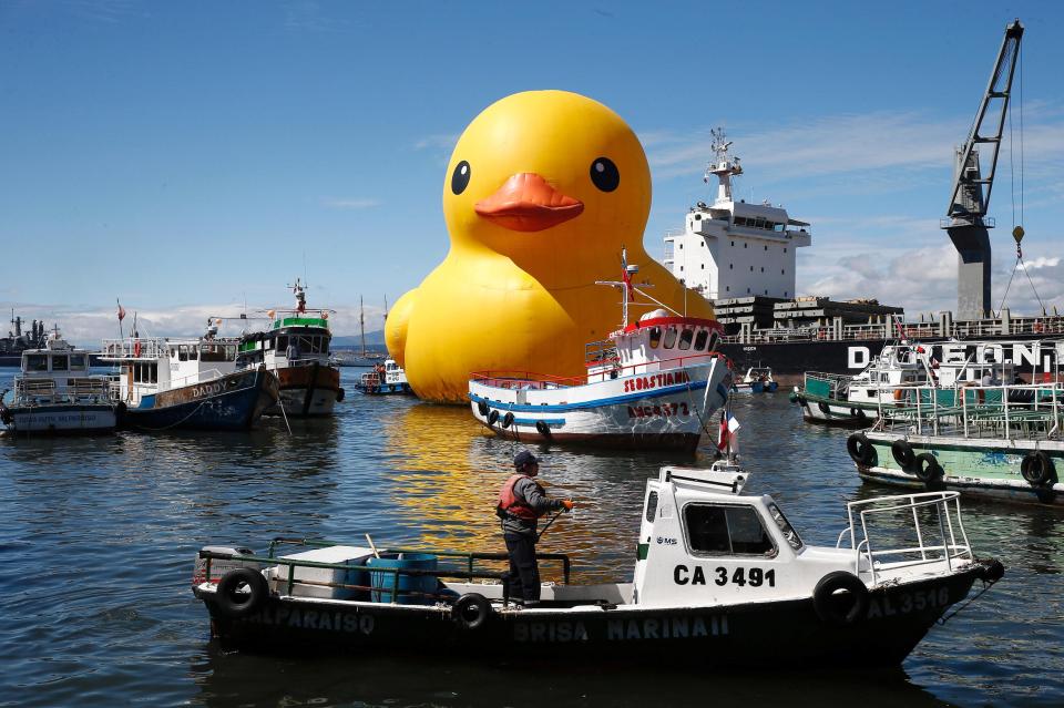  The Rubber Duckies scattered across the Fortnite map are, alas, a little harder to find than this mischievous chap