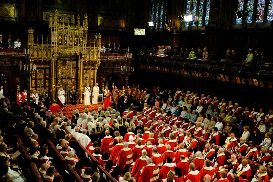  Lords threaten our democracy