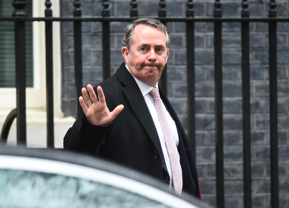  International Trade Secretary Liam Fox departing Downing Street after a Cabinet meeting last in March