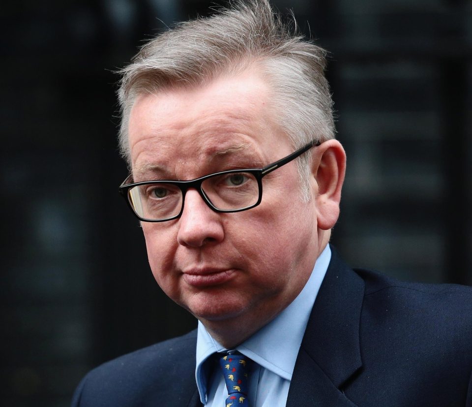  Michael Gove supports a customs partnership