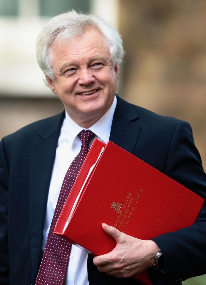  Brexiteer Cabinet member David Davis favours a different EU customs plan to May