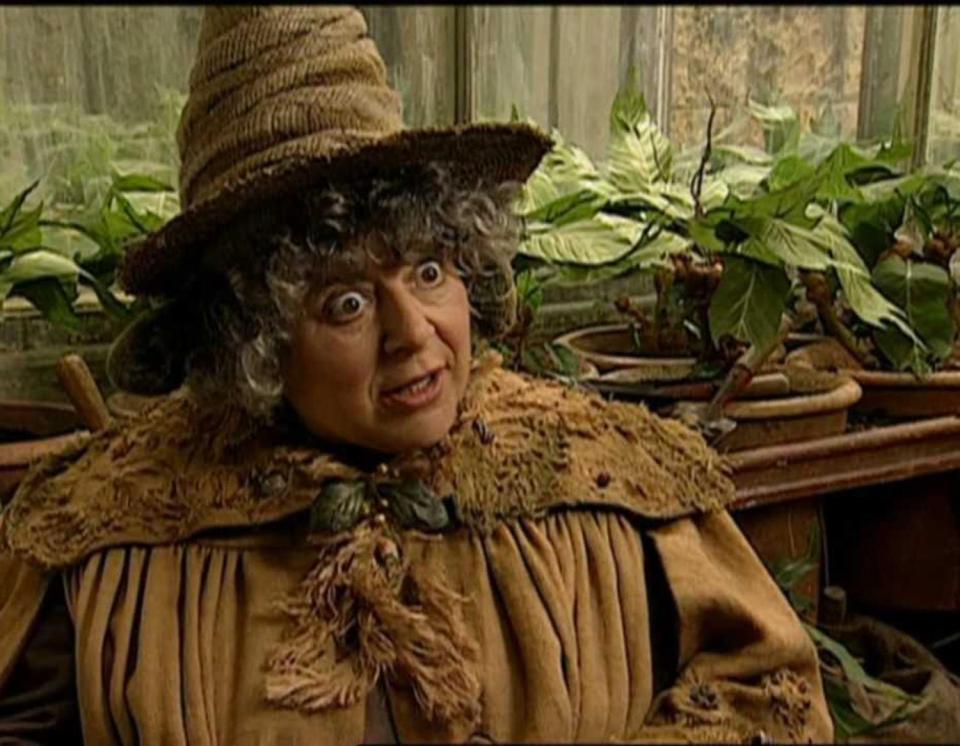  Miriam is famed for playing Professor Sprout in the Harry Potter films