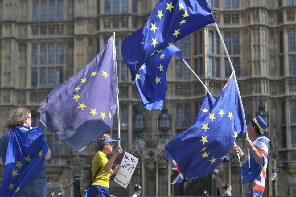  Pro-EU campaigners who refuse to accept Brexit could be suffering from psychological disorders, experts have warned