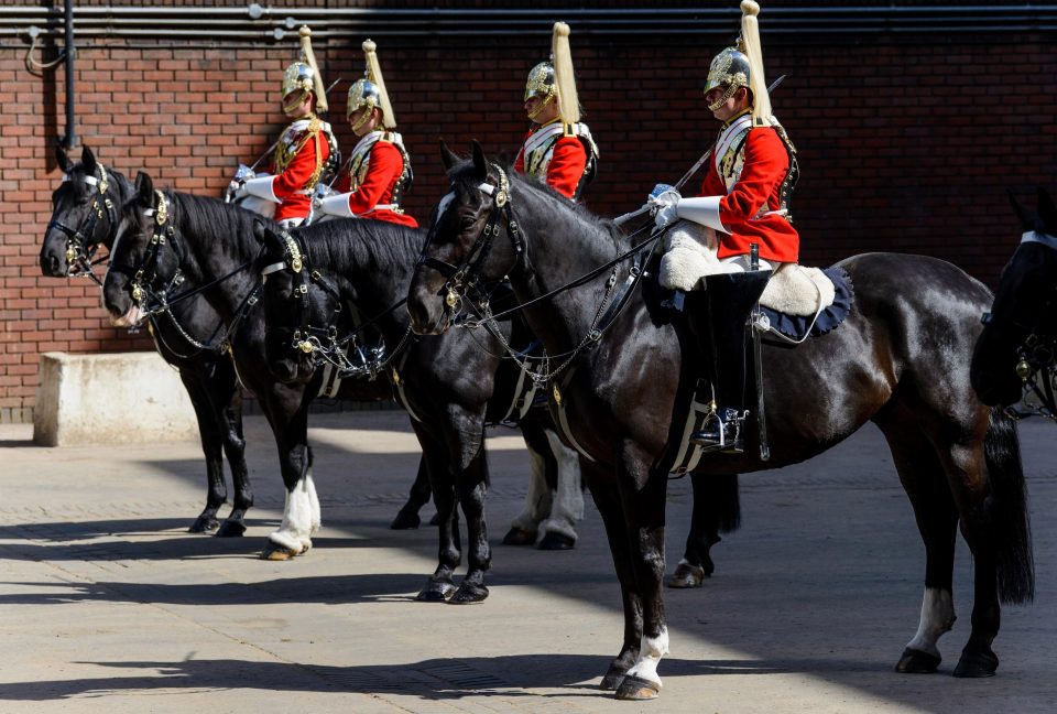  Pictured above, the Household Cavalry Mounted Regiment perform the Ceremonial Queen's Life Guard Inspection at Hyde Park Barracks