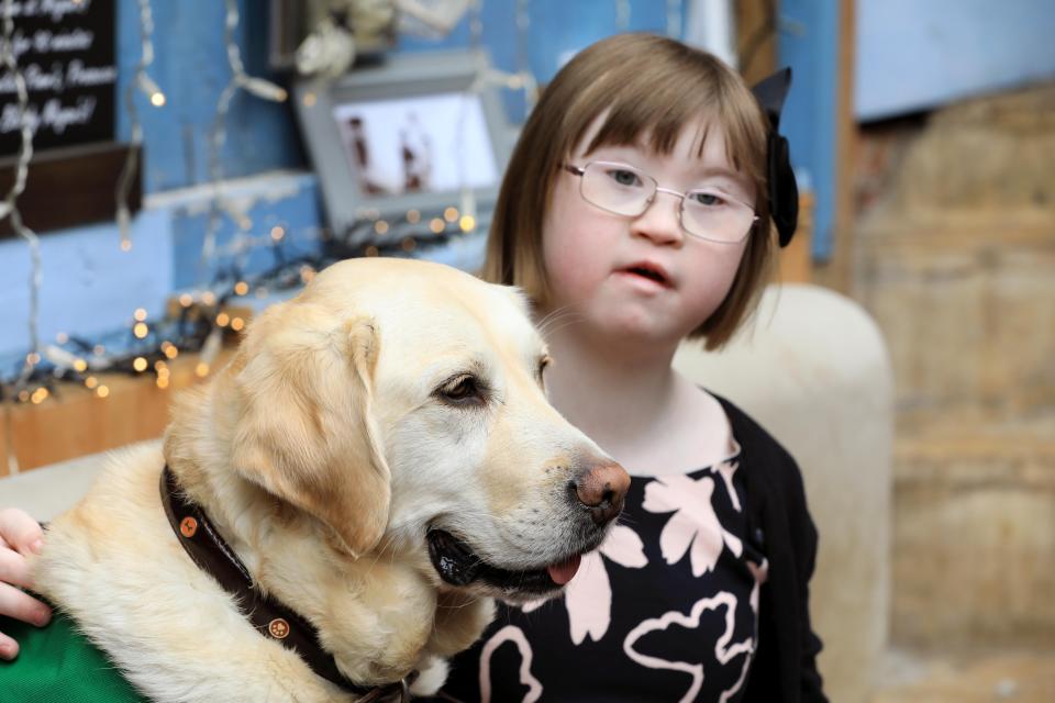  School therapy dog, Patience, a Retriever-Labrador cross, with Rosie Avery, 12, from Stocklake Park School, Aylesbury, Bucks