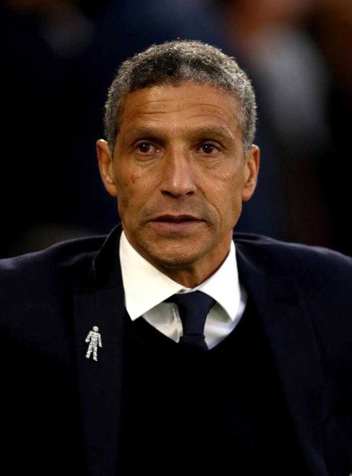  Chris Hughton is looking to strengthen squad after successful return to top flight