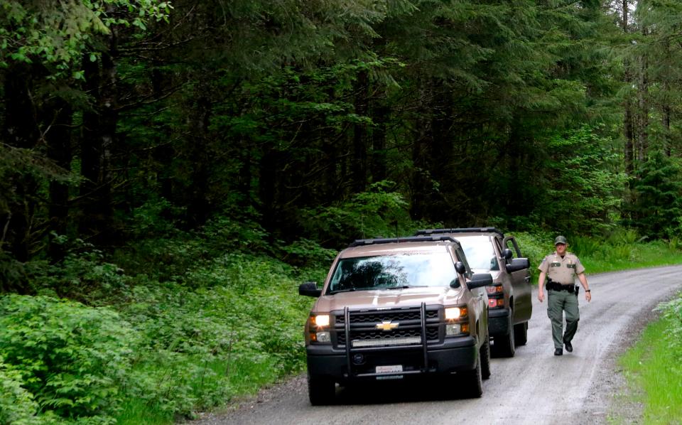  Cougar attacks are extremely rare in North America