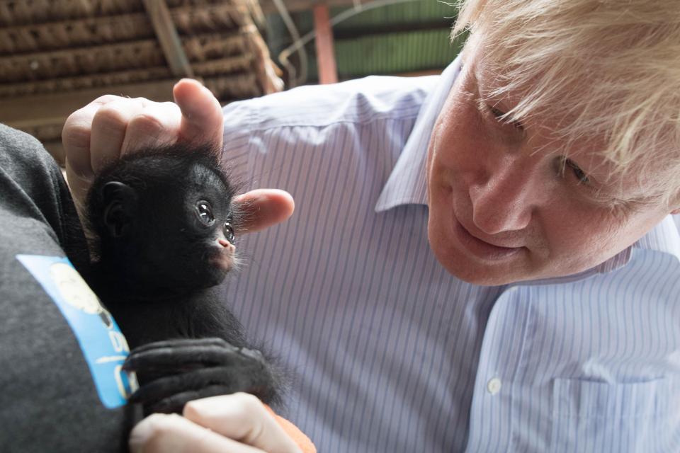  Boris meets a furry friend on his travels who seems to take a liking to him