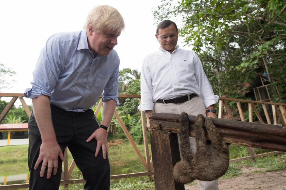  Boris Johnson meets a sloth on a visit to a wildlife sanctuary