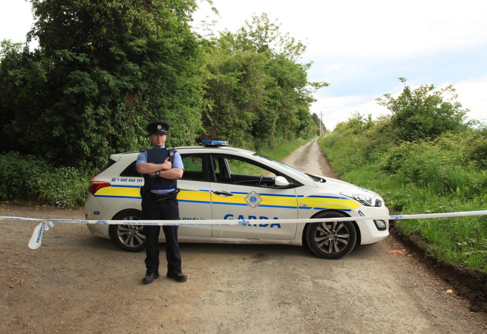 Gardai at Pucks Castle Lane in County Dublin where the remains of a female were found