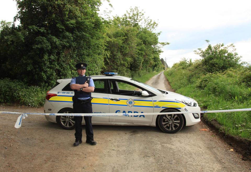  Gardai at Pucks Castle Lane in County Dublin where the remains of a female were found