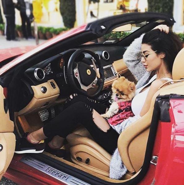 Keeping it casual in ripped jeans in the Ferrari with a pampered Pomerianian hound