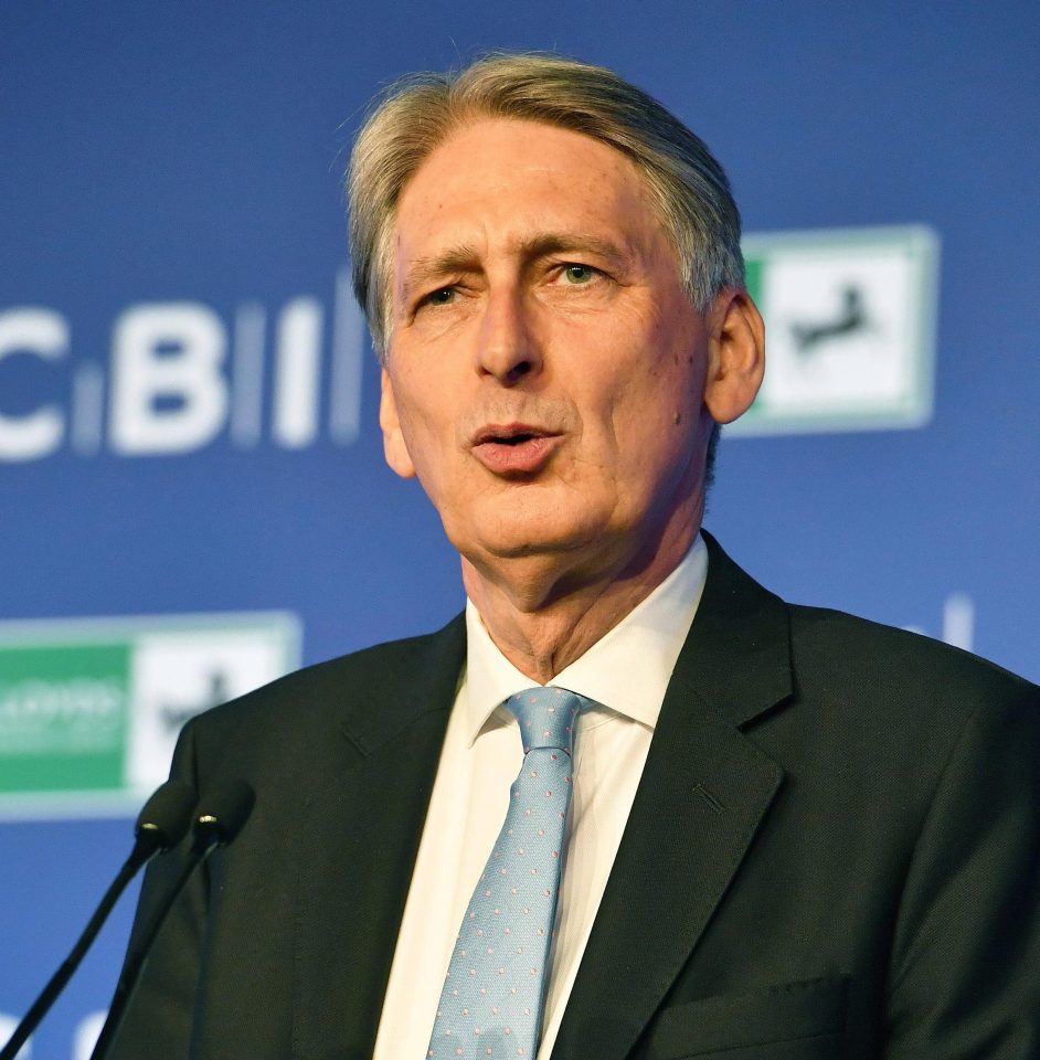  Philip Hammond has pledged £3billion to planning for Brexit