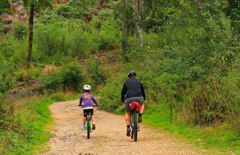  Enjoy long bike rides through the beautiful forest whilst staying at the Sandy Balls Holiday Village