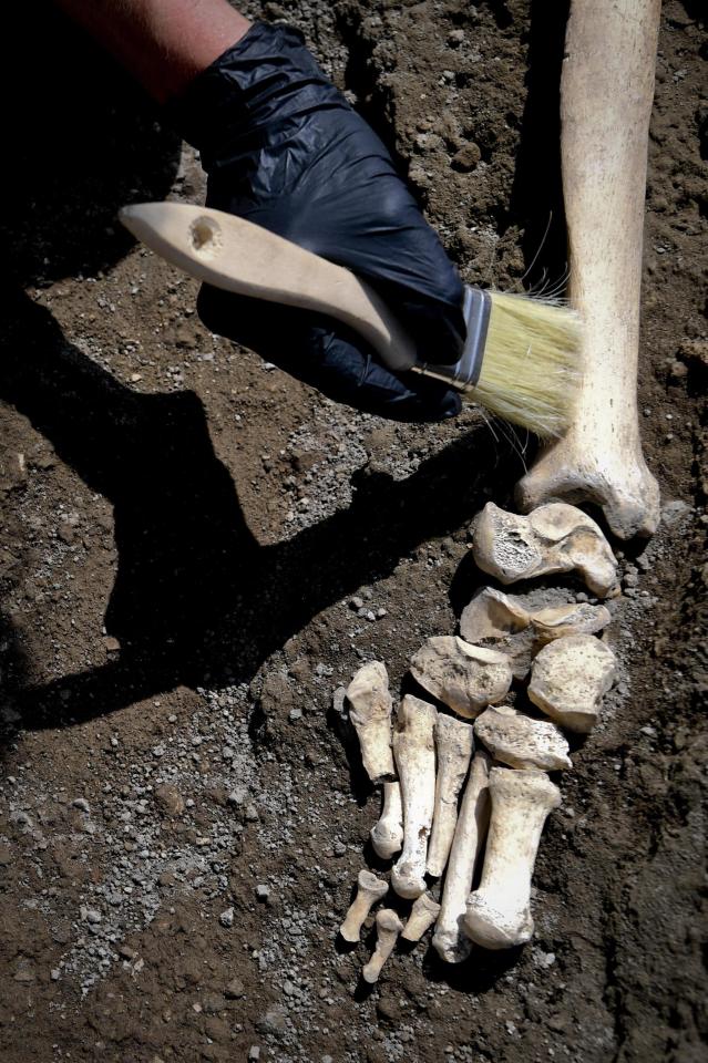  The victim was apparently impeded by a disability and hit by the falling rock as he turned to look at Mount Vesuvius