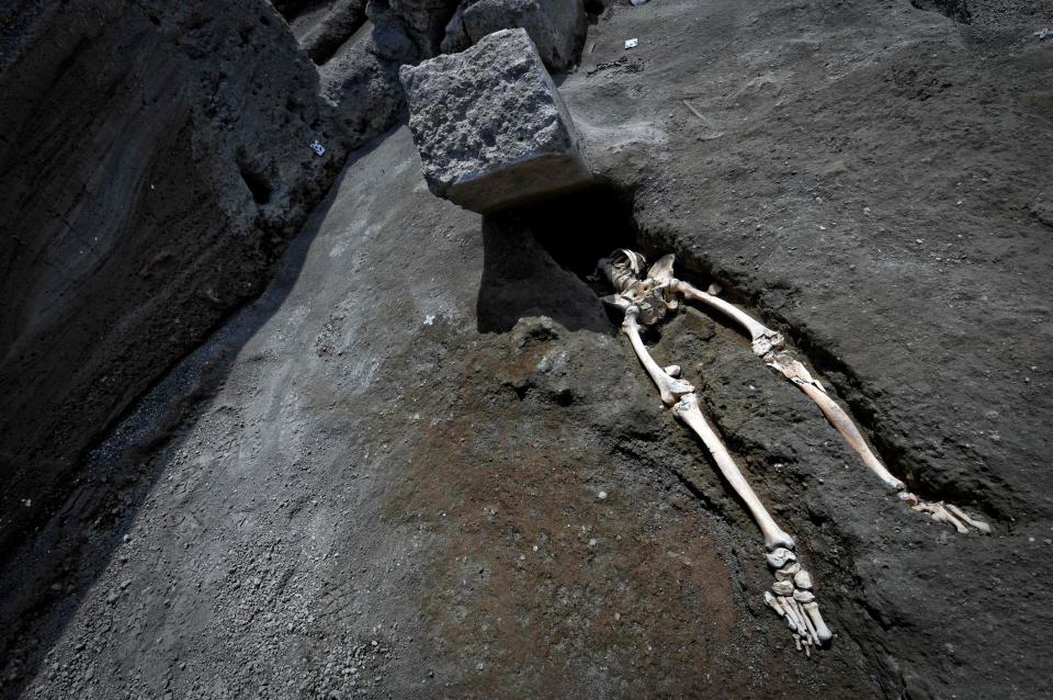  The skeleton has been hailed as an "exceptional find"